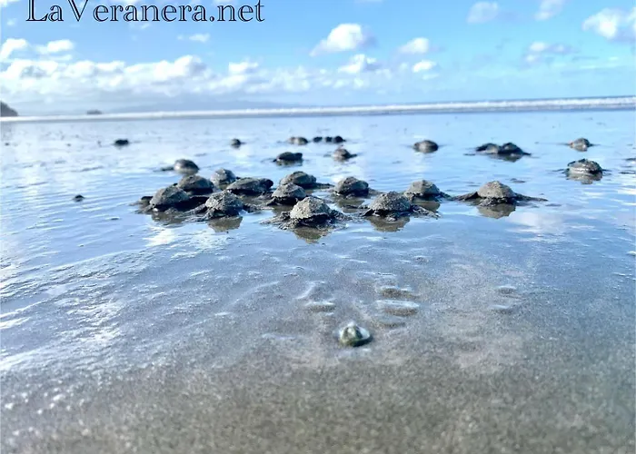 La Veranera, Playa El Coco